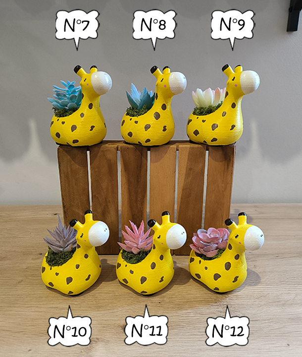 Giraflore 🦒