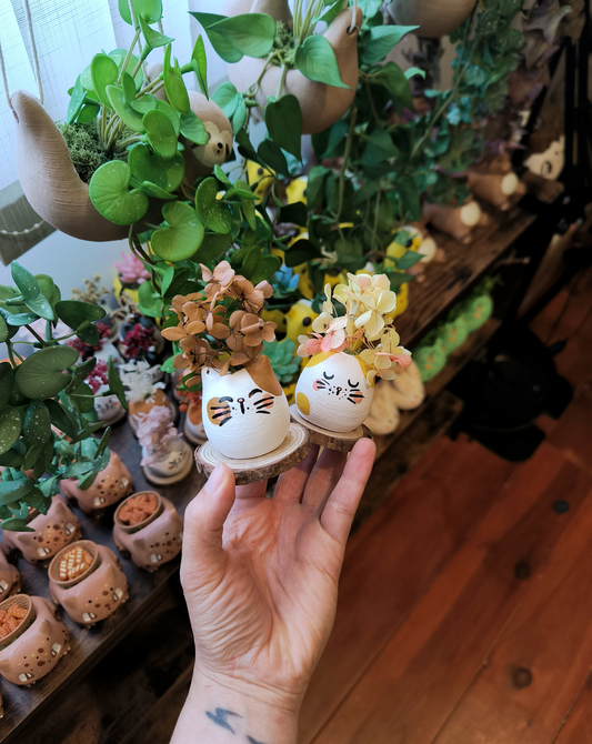 Mini Chaflore 🐈