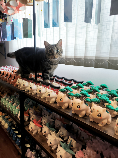 Collection Japon ⛩️