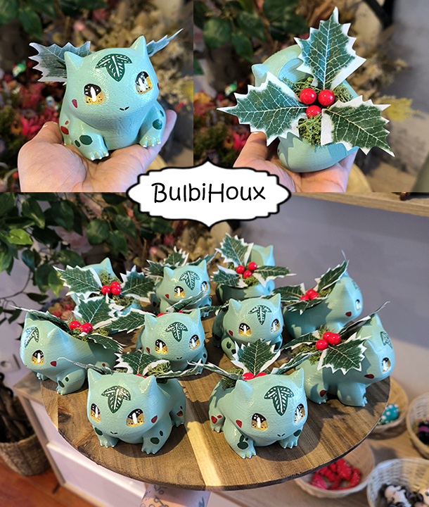 BulbiFestif - Pokemon ( Ephemère ) 🎉