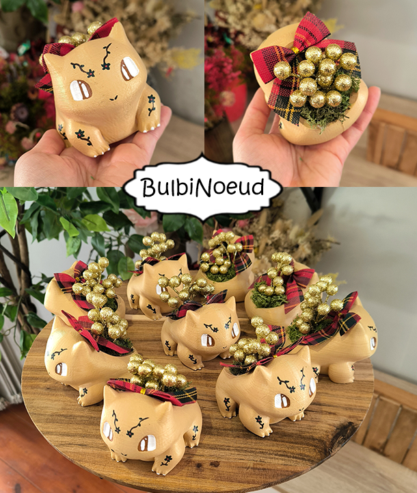 BulbiFestif - Pokemon ( Ephemère ) 🎉